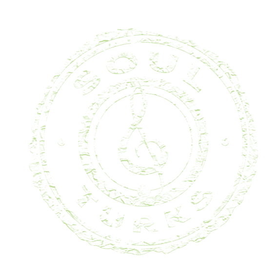 SoulTurks